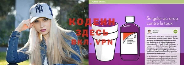 шишки Осинники