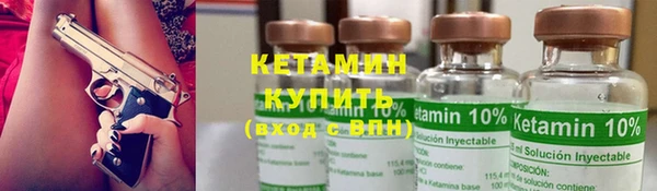 шишки Осинники