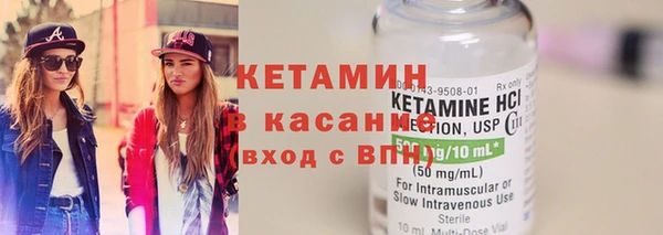 шишки Осинники