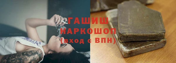шишки Осинники