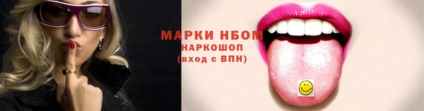 шишки Осинники