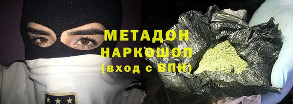 шишки Осинники
