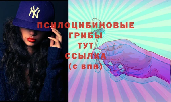 ешки Каменка