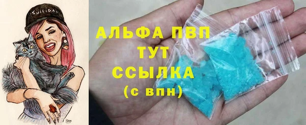 шишки Осинники
