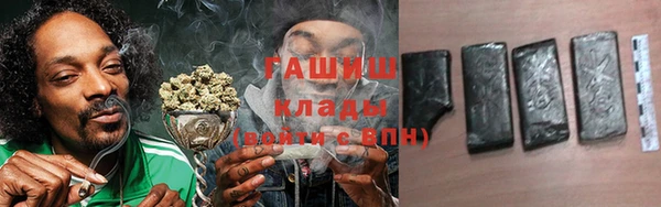 ГАЛЛЮЦИНОГЕННЫЕ ГРИБЫ Инта