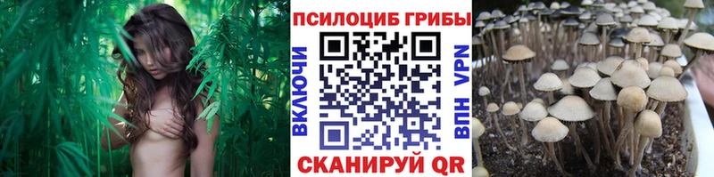 Галлюциногенные грибы мухоморы  Анжеро-Судженск 