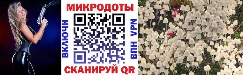 Псилоцибиновые грибы Magic Shrooms Анжеро-Судженск