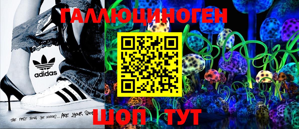 Анжеро-Судженск  Галлюциногенные грибы Cubensis  Вход с VPN 