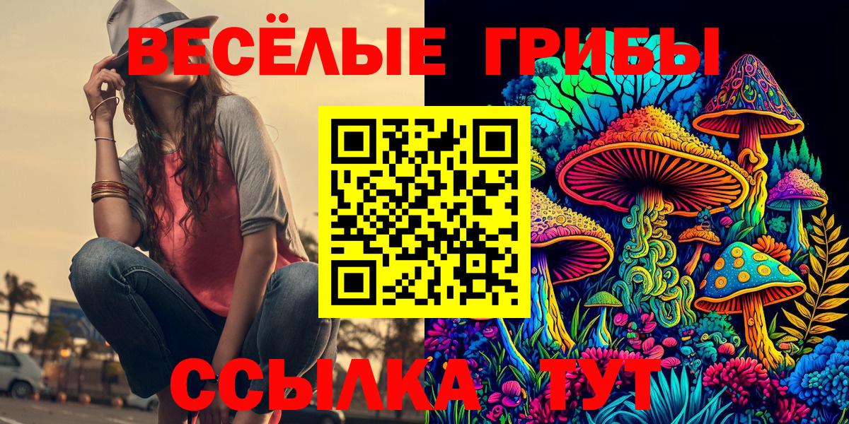 Галлюциногенные грибы Анжеро-Судженск