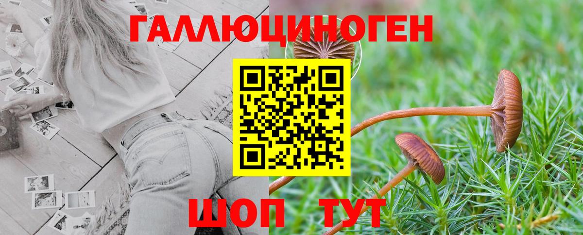 Галлюциногенные грибы Magic Shrooms Анжеро-Судженск