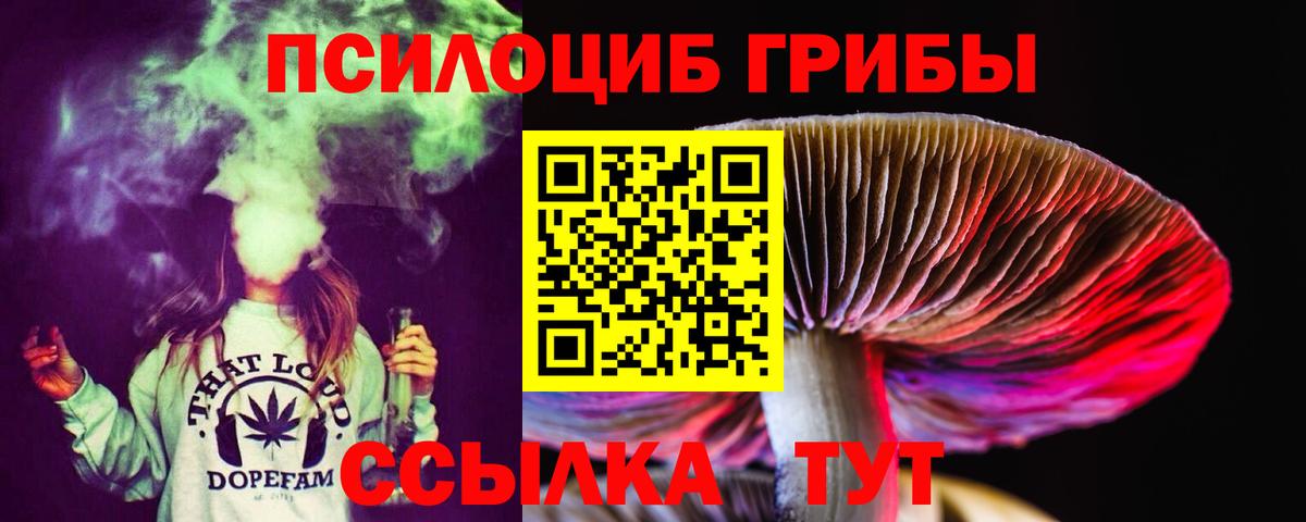 Псилоцибиновые грибы Psilocybe  Вход с VPN  Анжеро-Судженск  Псилоцибиновые грибы мицелий 
