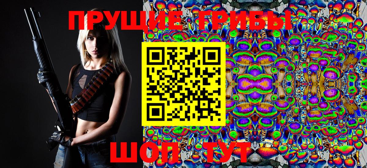 Галлюциногенные грибы Psilocybe Анжеро-Судженск