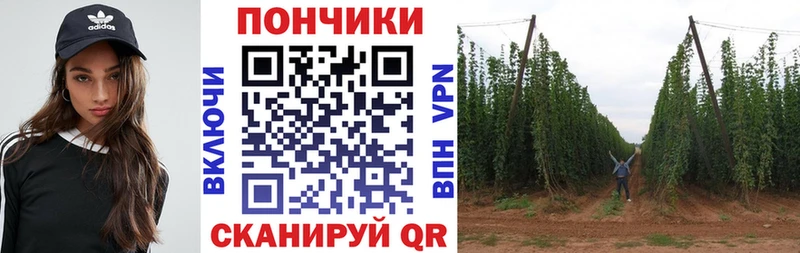 МАРИХУАНА Amnesia  где продают наркотики  Анжеро-Судженск 